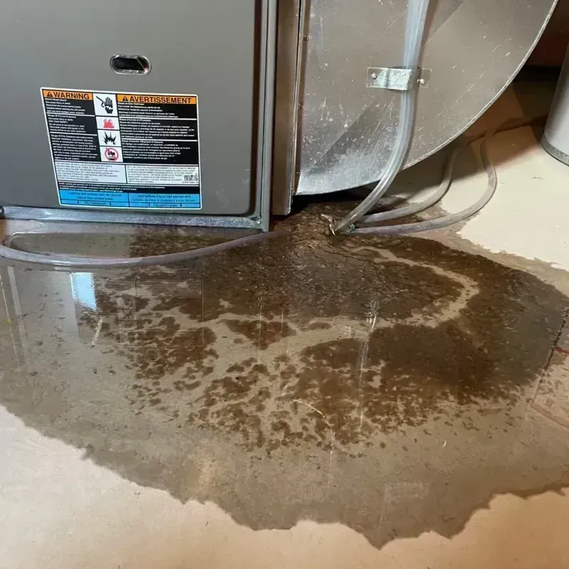 Appliance Leak Cleanup in Sesser, IL